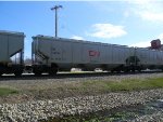 CN 114734 is new to RRPA!